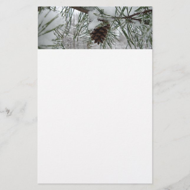Snowy Pine Branch Winter Nature Photography Stationery (Front)