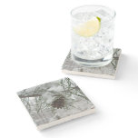 Snowy Pine Branch Winter Nature Photography Stone Coaster
