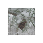 Snowy Pine Branch Winter Nature Photography Stone Magnet