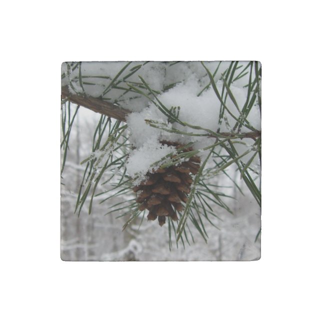 Snowy Pine Branch Winter Nature Photography Stone Magnet (Front)