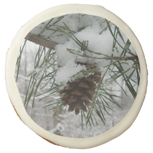 Snowy Pine Branch Winter Nature Photography Sugar Cookie (Front)