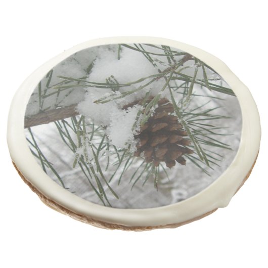 Snowy Pine Branch Winter Nature Photography Sugar Cookie (Angled)