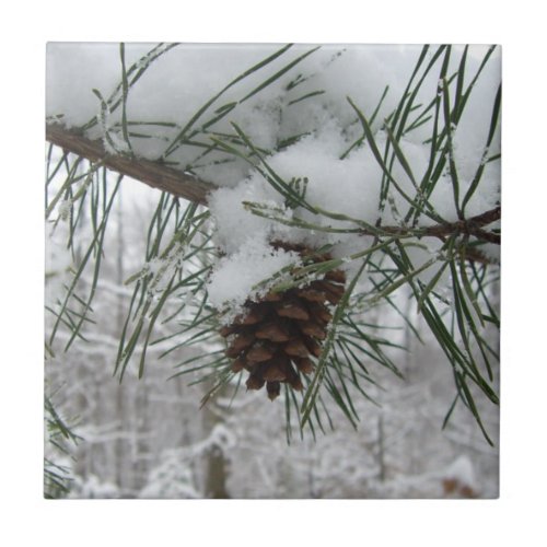 Snowy Pine Branch Winter Nature Photography Tile