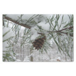 Snowy Pine Branch Winter Nature Photography Tissue Paper