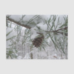Snowy Pine Branch Winter Nature Photography Tissue Paper