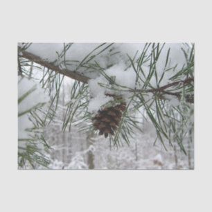 Snowy Pine Branch Winter Nature Photography Tissue Paper