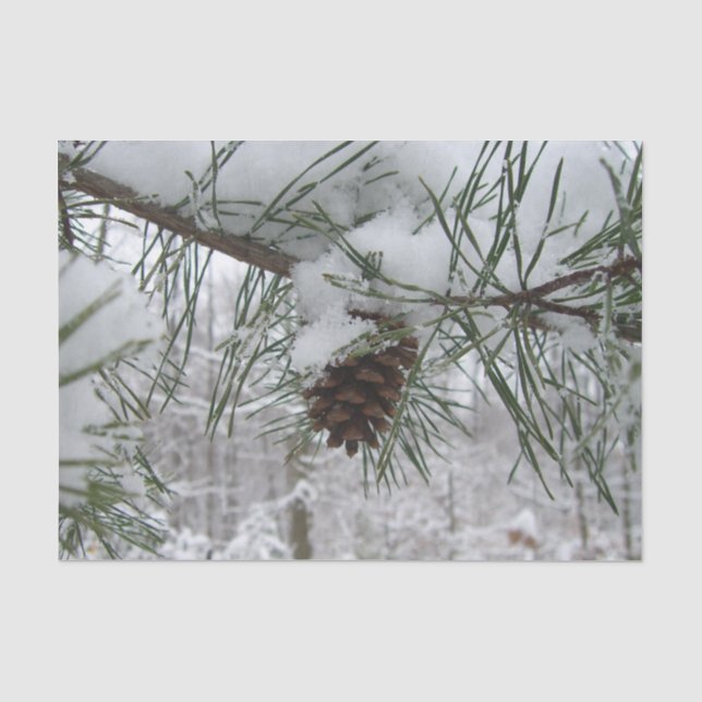 Snowy Pine Branch Winter Nature Photography Tissue Paper (Front)