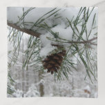 Snowy Pine Branch Winter Nature Photography Trinket Tray