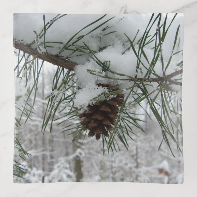 Snowy Pine Branch Winter Nature Photography Trinket Tray (Front)