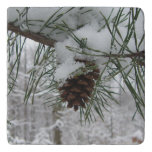 Snowy Pine Branch Winter Nature Photography Trivet