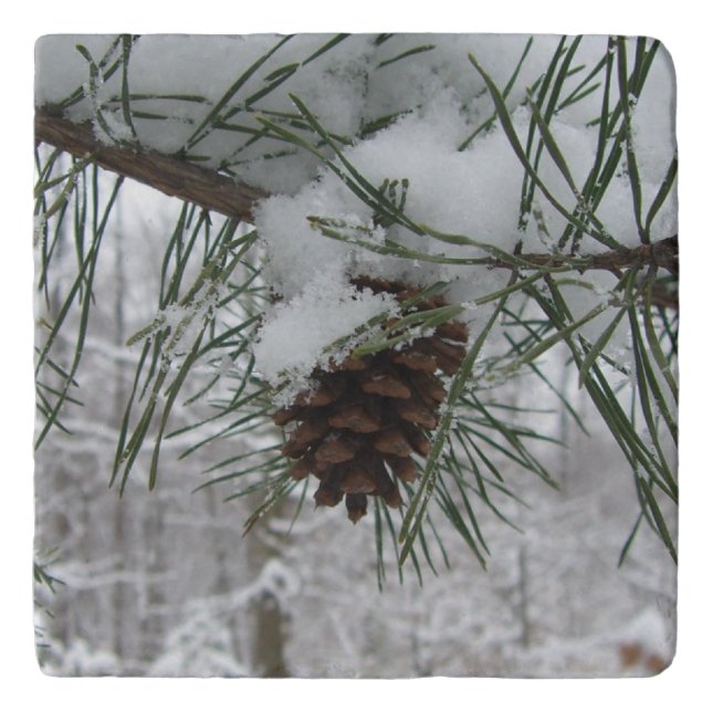 Snowy Pine Branch Winter Nature Photography Trivet (Front)