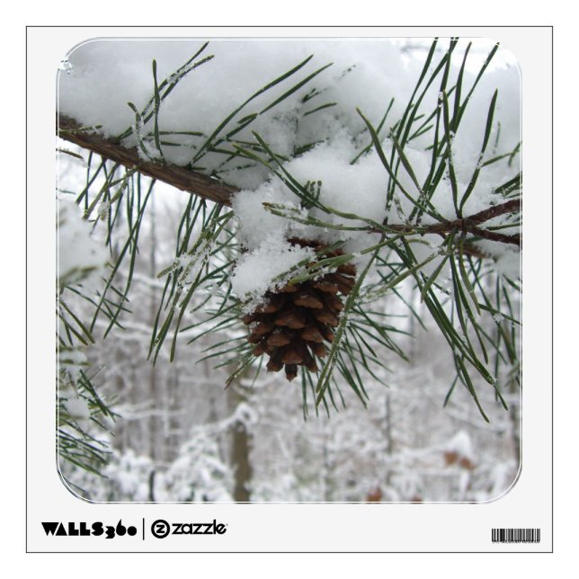 Snowy Pine Branch Winter Nature Photography Wall Decal (Front)