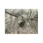 Snowy Pine Branch Winter Nature Photography Wood Poster