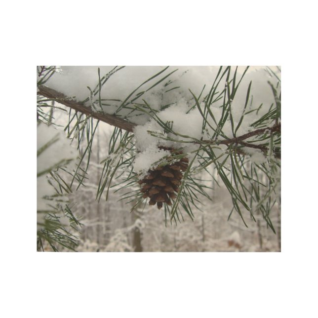 Snowy Pine Branch Winter Nature Photography Wood Poster (Front)