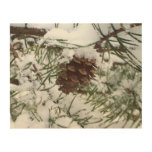 Snowy Pine Branch Winter Nature Photography Wood Wall Art