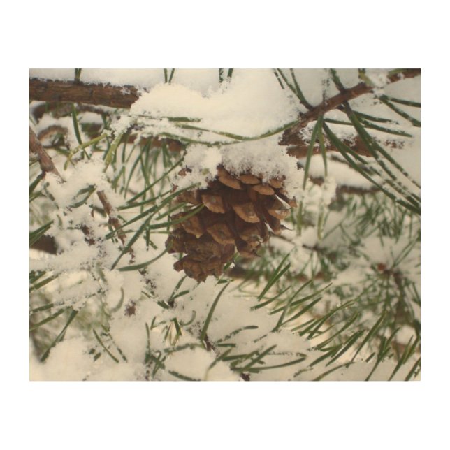 Snowy Pine Branch Winter Nature Photography Wood Wall Art (Front)