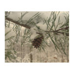 Snowy Pine Branch Winter Nature Photography Wood Wall Decor
