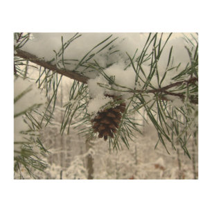 Snowy Pine Branch Winter Nature Photography Wood Wall Decor