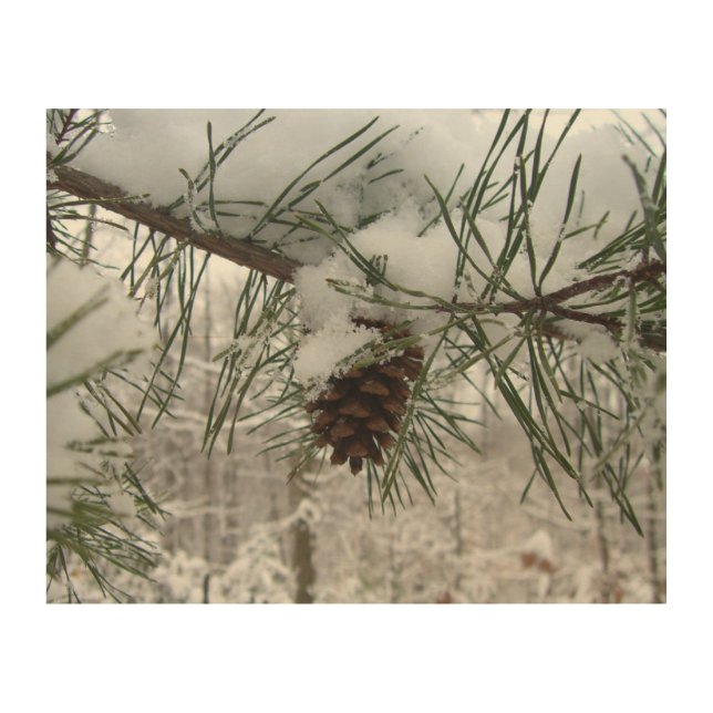 Snowy Pine Branch Winter Nature Photography Wood Wall Decor (Front)