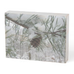 Snowy Pine Branch Winter Nature Photography Wooden Box Sign