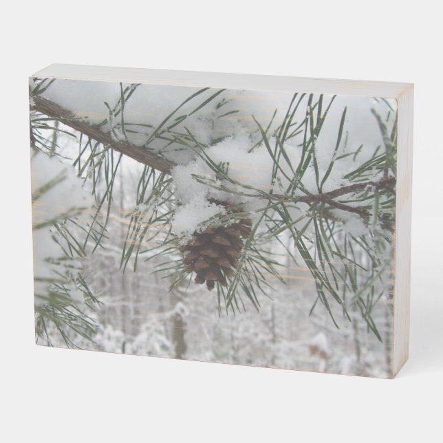Snowy Pine Branch Winter Nature Photography Wooden Box Sign (Angled Horizontal)