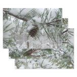 Snowy Pine Branch Winter Nature Photography Wrapping Paper Sheets