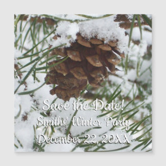 Snowy Pine Cone I Winter Nature Photography
