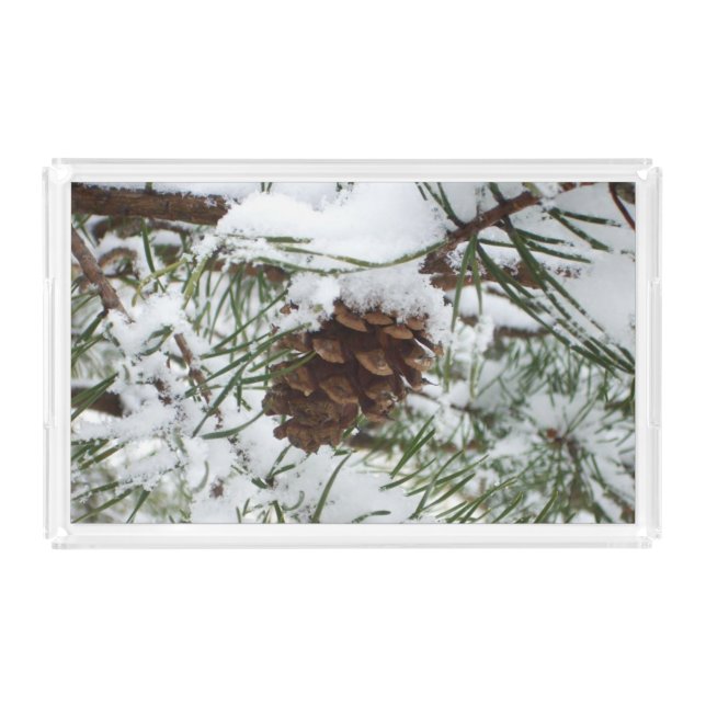 Snowy Pine Cone I Winter Nature Photography Acrylic Tray (Front)