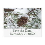 Snowy Pine Cone I Winter Nature Photography Announcement Postcard