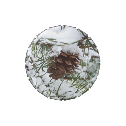 Snowy Pine Cone I Winter Nature Photography Candy Tin (Top)