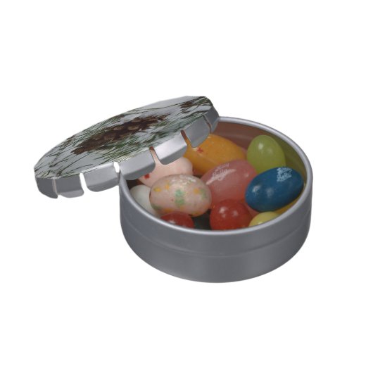 Snowy Pine Cone I Winter Nature Photography Candy Tin (Opened)