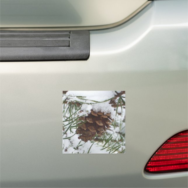 Snowy Pine Cone I Winter Nature Photography Car Magnet (In Situ)