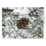 Snowy Pine Cone I Winter Nature Photography Card