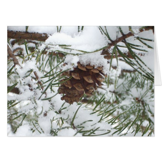 Snowy Pine Cone I Winter Nature Photography Card (Front Horizontal)