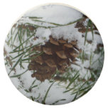 Snowy Pine Cone I Winter Nature Photography Chocolate Covered Oreo