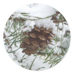 Snowy Pine Cone I Winter Nature Photography Classic Round Sticker