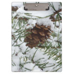 Snowy Pine Cone I Winter Nature Photography Clipboard