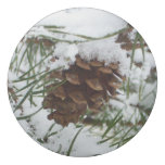 Snowy Pine Cone I Winter Nature Photography Eraser