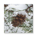 Snowy Pine Cone I Winter Nature Photography Favor Tags