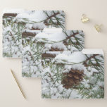Snowy Pine Cone I Winter Nature Photography File Folder