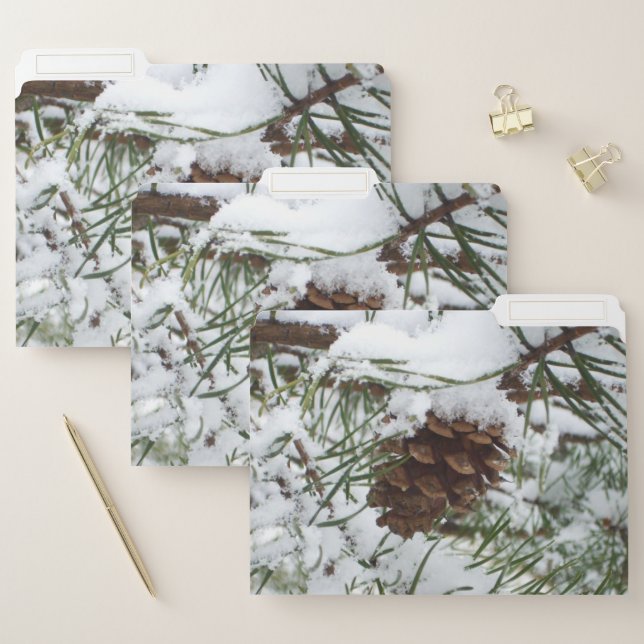 Snowy Pine Cone I Winter Nature Photography File Folder (Set)