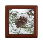 Snowy Pine Cone I Winter Nature Photography Gift Box