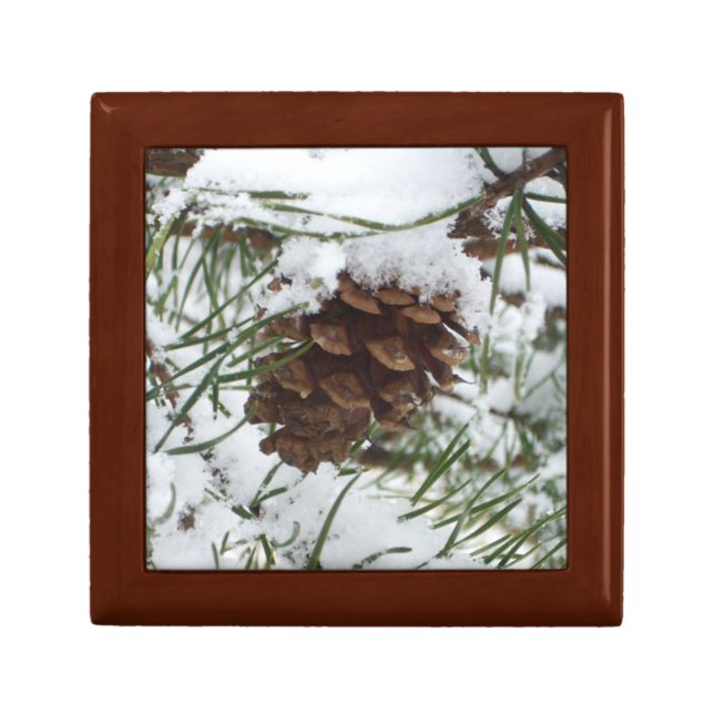 Snowy Pine Cone I Winter Nature Photography Gift Box (Front)