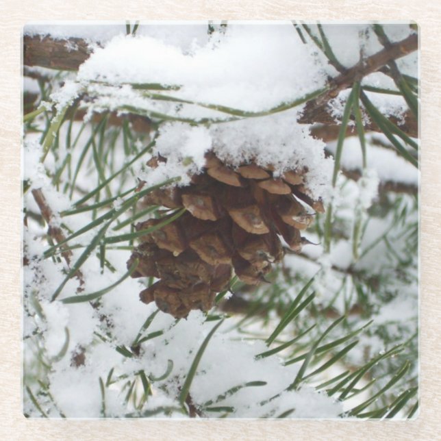 Snowy Pine Cone I Winter Nature Photography Glass Coaster (Front)