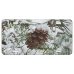 Snowy Pine Cone I Winter Nature Photography License Plate