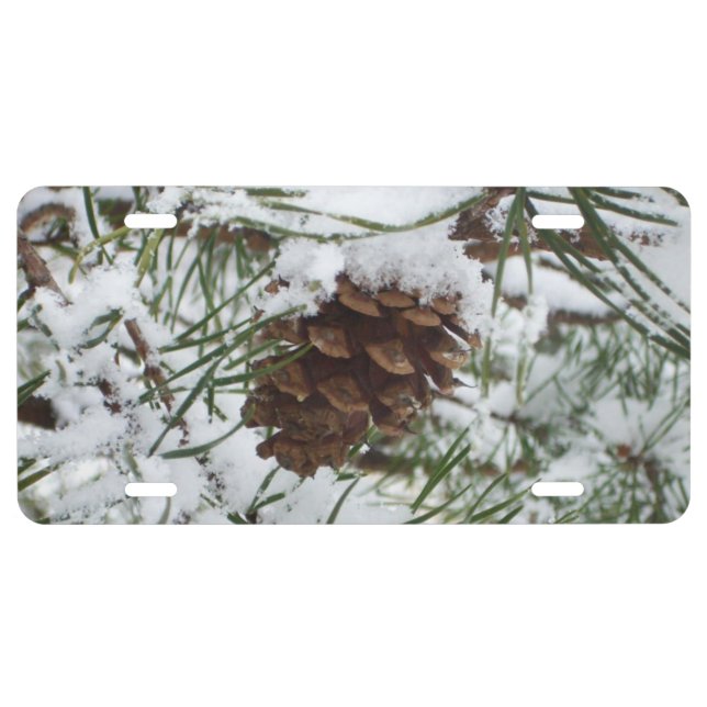Snowy Pine Cone I Winter Nature Photography License Plate (Front)