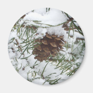 Snowy Pine Cone I Winter Nature Photography Magnet