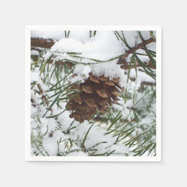 Snowy Pine Cone I Winter Nature Photography Paper Napkins (Front)