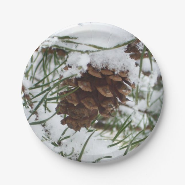 Snowy Pine Cone I Winter Nature Photography Paper Plates (Front)