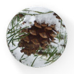 Snowy Pine Cone I Winter Nature Photography Paperweight